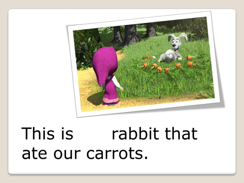 This is the rabbit that ate our carrots