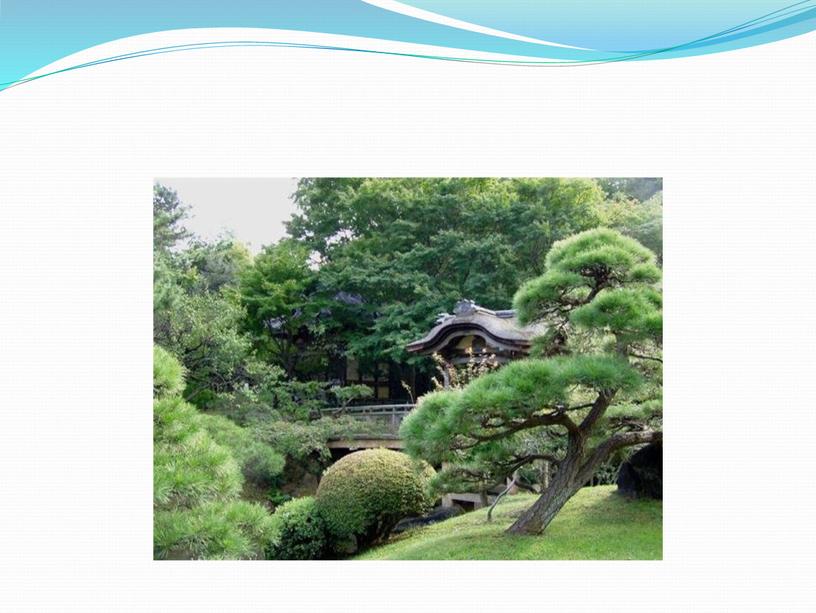 Проект: "Создание японского сада в ландшафте Московской области"