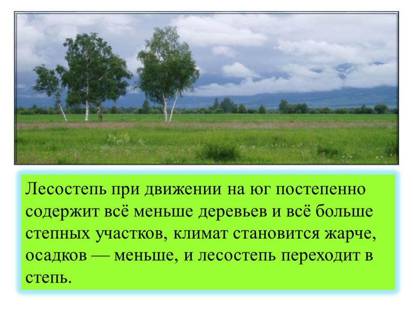 Лесостепь при движении на юг постепенно содержит всё меньше деревьев и всё больше степных участков, климат становится жарче, осадков — меньше, и лесостепь переходит в…