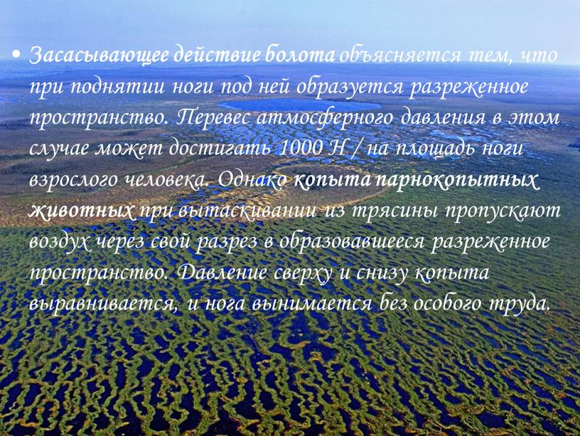 Засасывающее действие болота объясняется тем, что при поднятии ноги под ней образуется разреженное пространство