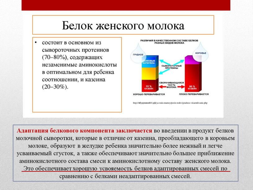 Адаптация белкового компонента заключается во введении в продукт белков молочной сыворотки, которые в отличие от казеина, преобладающего в коровьем молоке, образуют в желудке ребенка значительно…