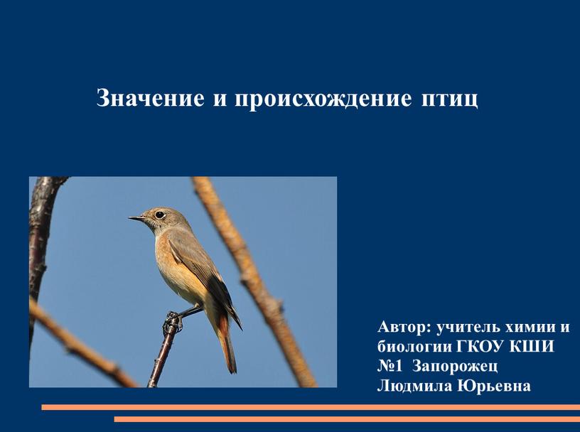 Значение и происхождение птиц Автор: учитель химии и биологии