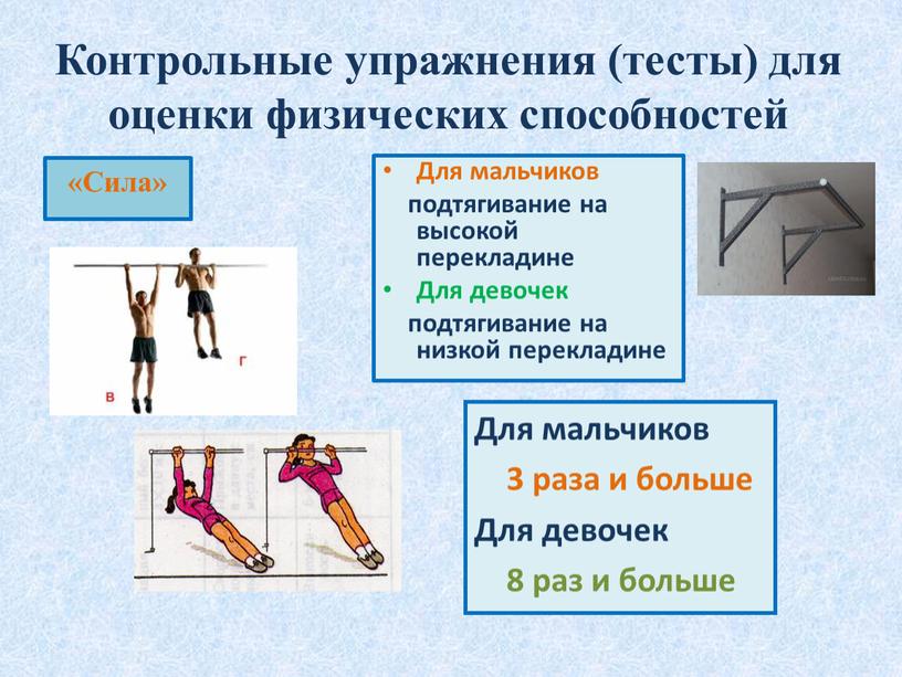 Контрольные упражнения (тесты) для оценки физических способностей «Сила»