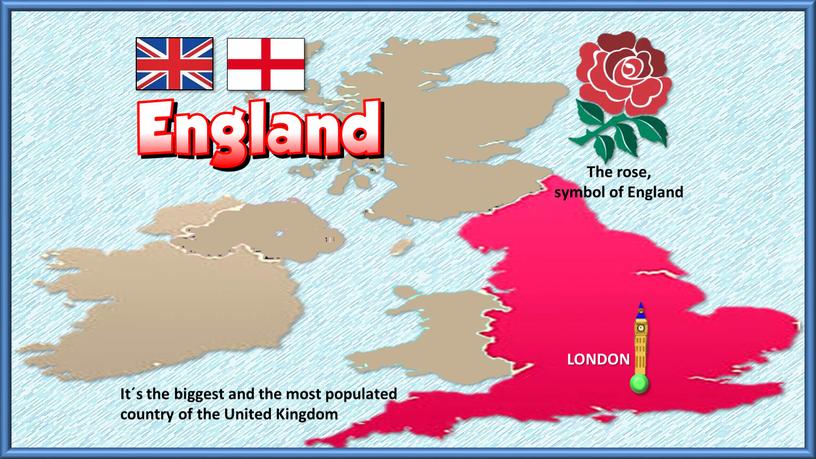 The rose, symbol of England LONDON