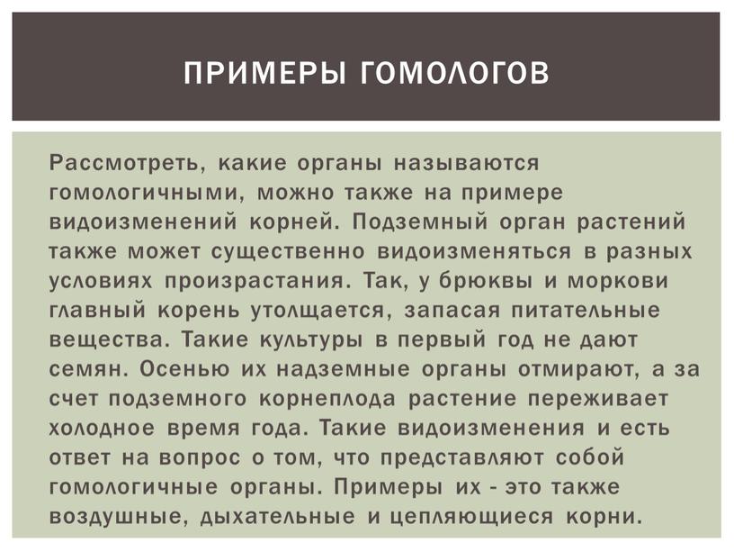 Рассмотреть, какие органы называются гомологичными, можно также на примере видоизменений корней