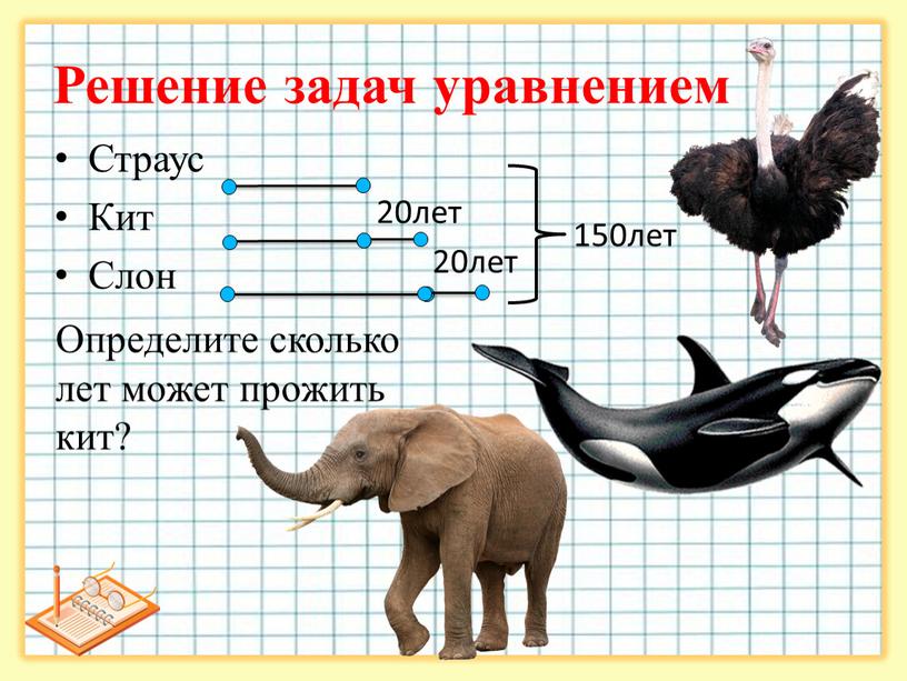 Страус Кит Слон Решение задач уравнением 20лет 20лет 150лет