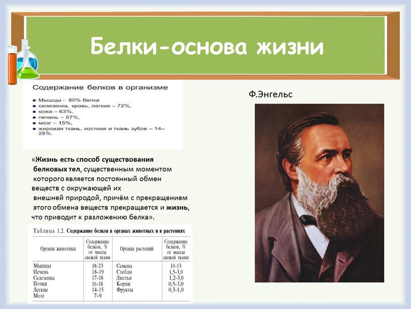 Белки-основа жизни « Жизнь есть способ существования белковых тел , существенным моментом которого является постоянный обмен веществ с окружающей их внешней природой, причём с прекращением…