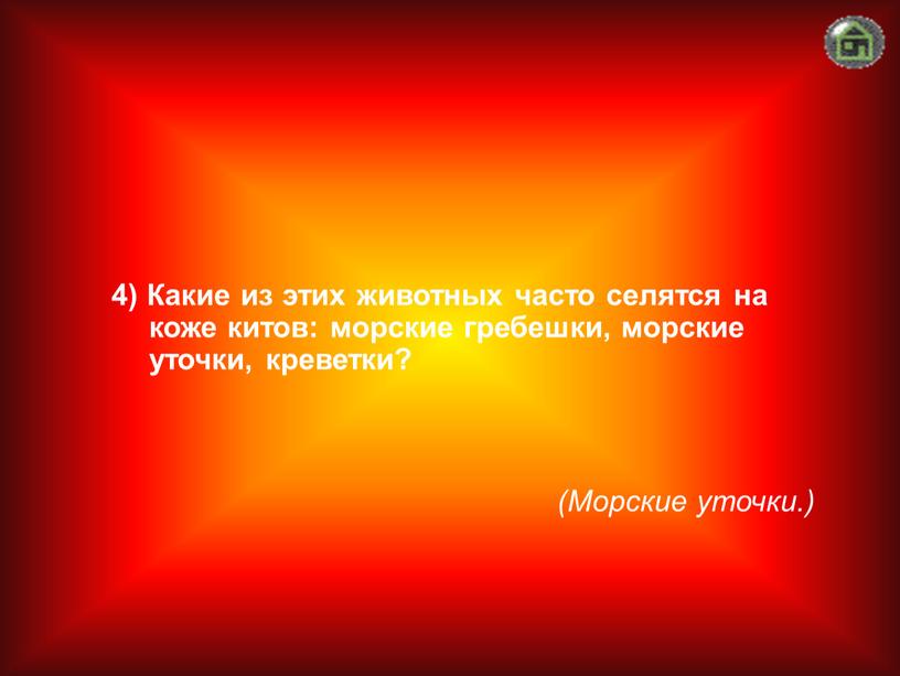 Морские уточки.) 4) Какие из этих животных часто селятся на коже китов: морские гребешки, морские уточки, креветки?