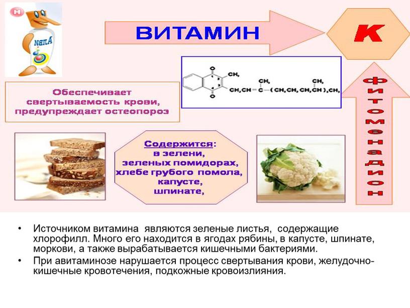 Источником витамина являются зеленые листья, содержащие хлорофилл