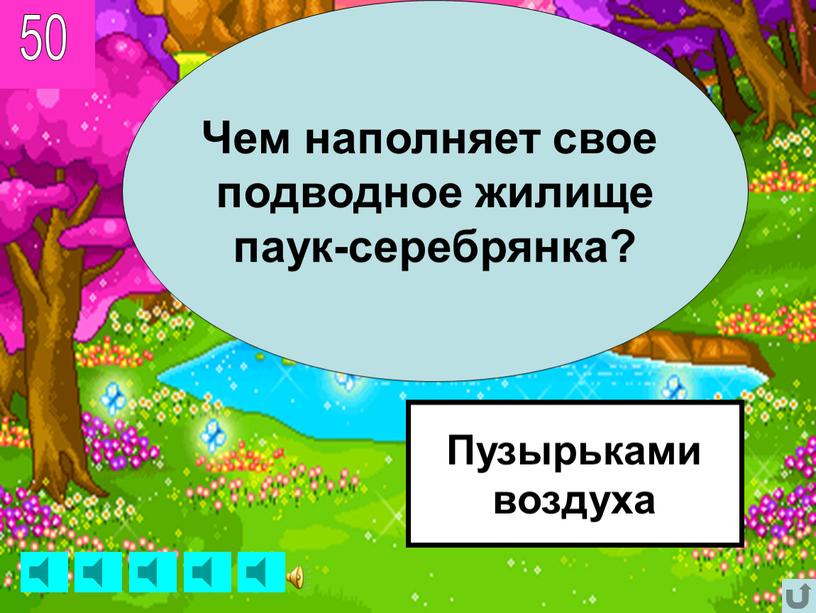 Чем наполняет свое подводное жилище паук-серебрянка?