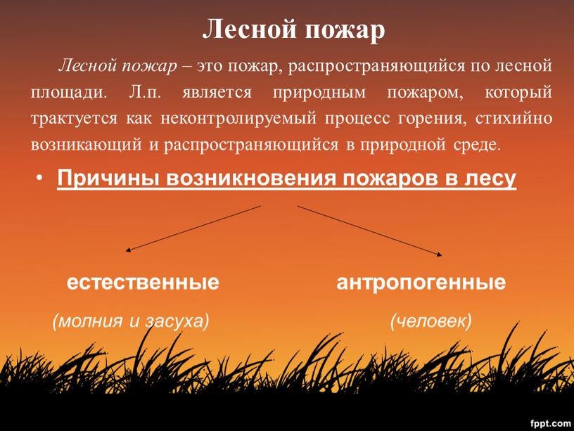 Лесной пожар – это пожар, распространяющийся по лесной площади