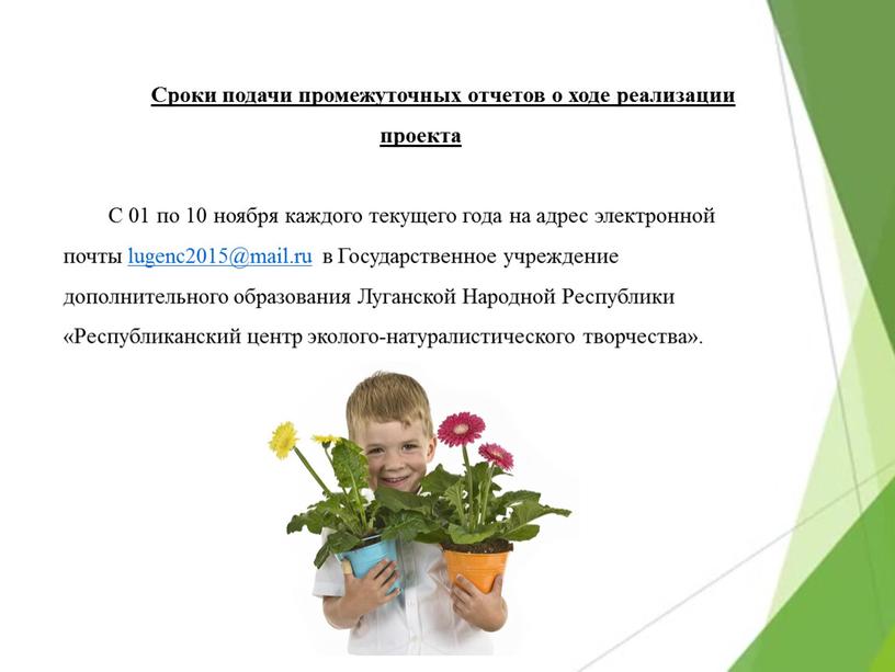 Сроки подачи промежуточных отчетов о ходе реализации проекта