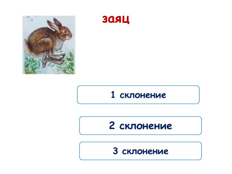 1 склонение заяц 2 склонение 3 склонение