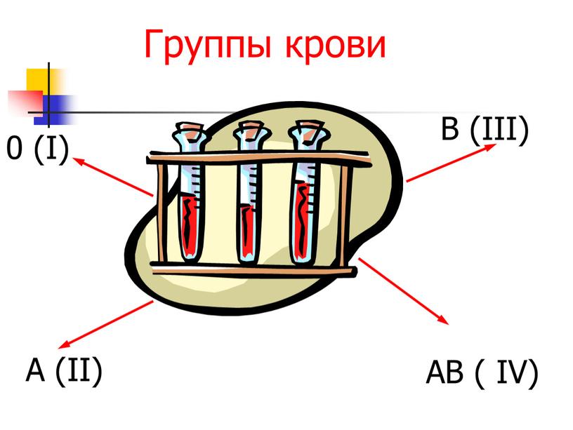 Группы крови 0 (I) А (II) В (III)