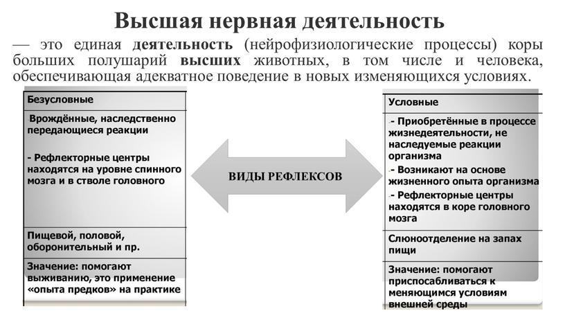 Высшая нервная деятельность — это единая деятельность (нейрофизиологические процессы) коры больших полушарий высших животных, в том числе и человека, обеспечивающая адекватное поведение в новых изменяющихся…