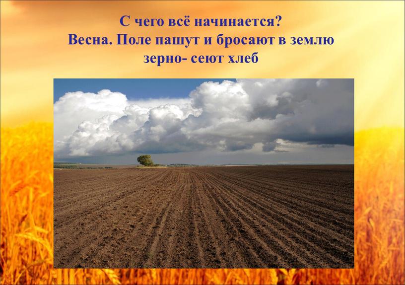 С чего всё начинается? Весна. Поле пашут и бросают в землю зерно- сеют хлеб