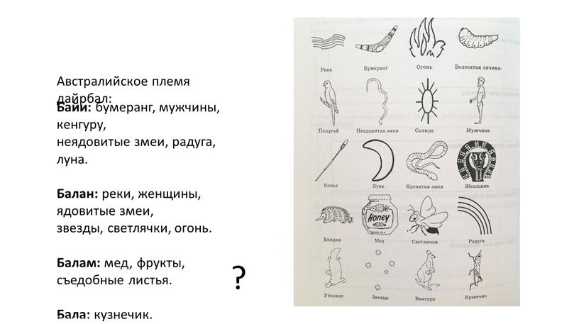 Австралийское племя дайрбал: Байи: бумеранг, мужчины, кенгуру, неядовитые змеи, радуга, луна