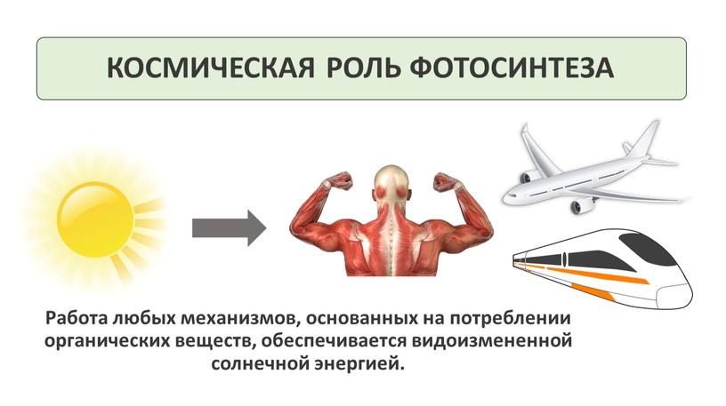 КОСМИЧЕСКАЯ РОЛЬ ФОТОСИНТЕЗА Работа любых механизмов, основанных на потреблении органических веществ, обеспечивается видоизмененной солнечной энергией