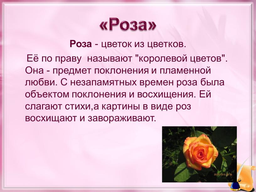 Роза» Роза - цветок из цветков