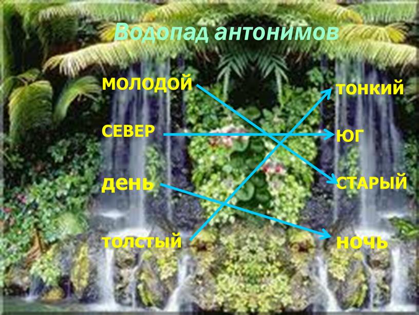 Водопад антонимов МОЛОДОЙ СЕВЕР день толстый тонкий