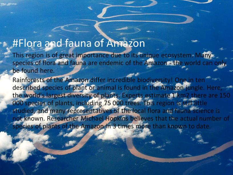 Flora and fauna of Amazon This region is of great importance due to its unique ecosystem