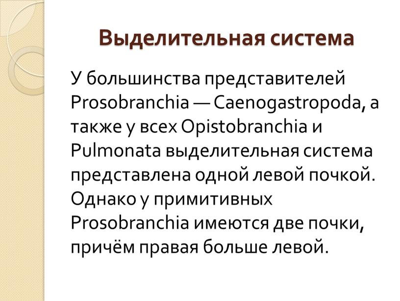 Выделительная система У большинства представителей