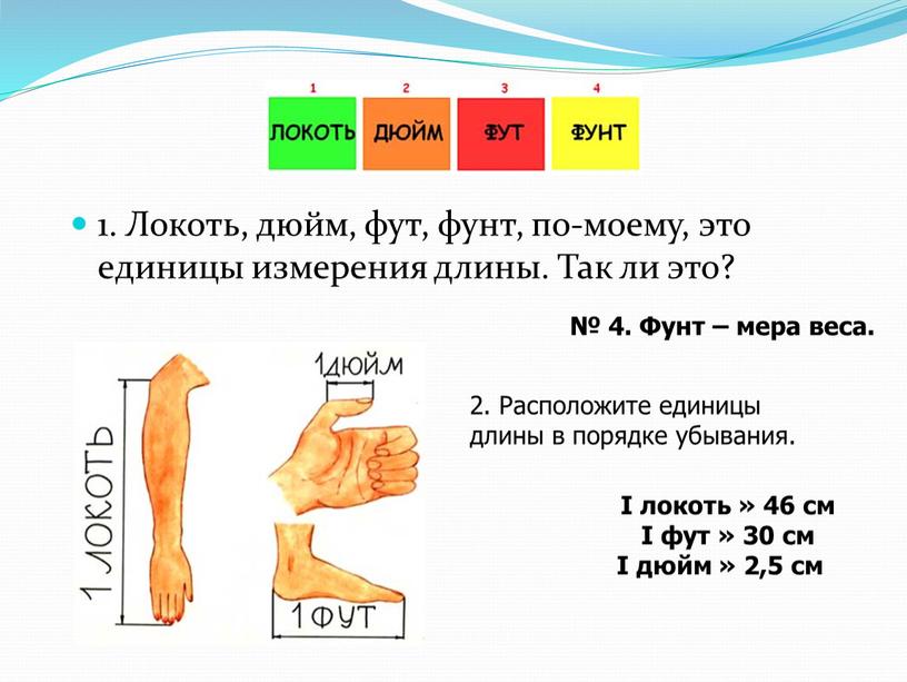 Локоть, дюйм, фут, фунт, по-моему, это единицы измерения длины