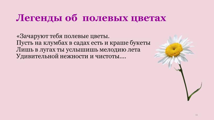 Легенды об полевых цветах «Зачаруют тебя полевые цветы