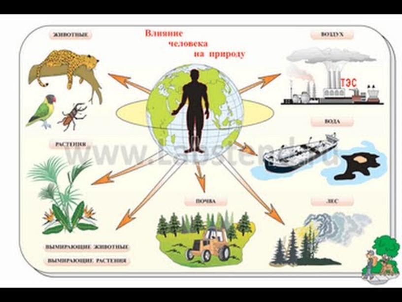 Человек и природа