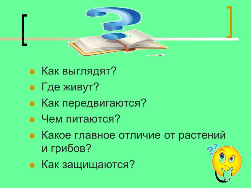 Как выглядят? Где живут? Как передвигаются?