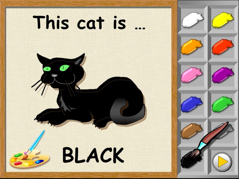 This cat is … BLACK