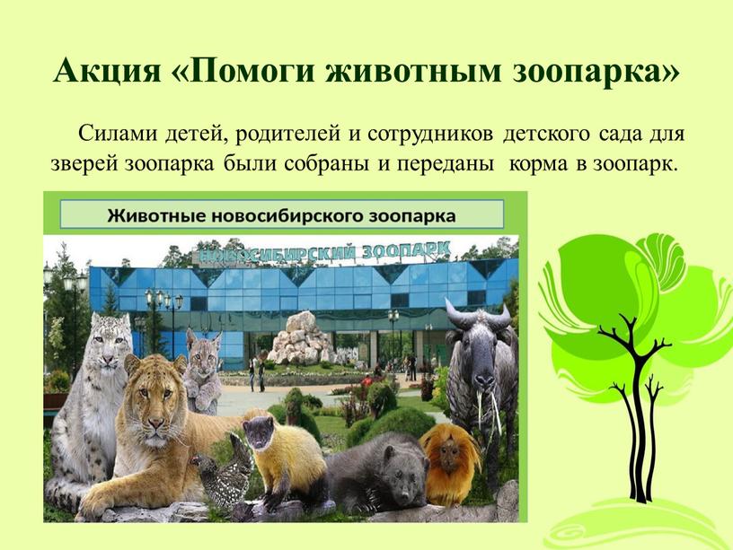Акция «Помоги животным зоопарка»