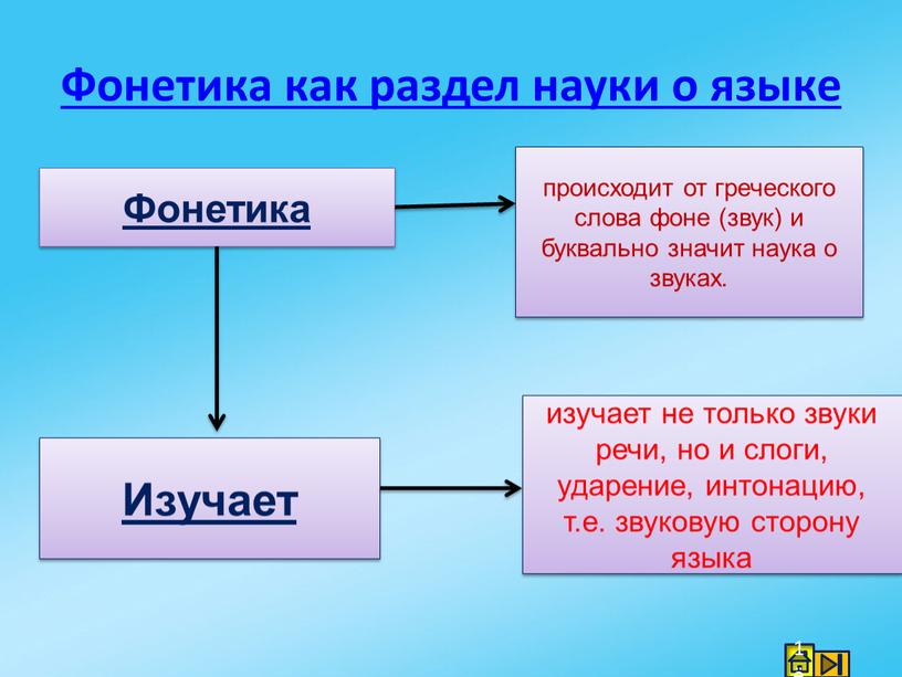 Фонетика как раздел науки о языке