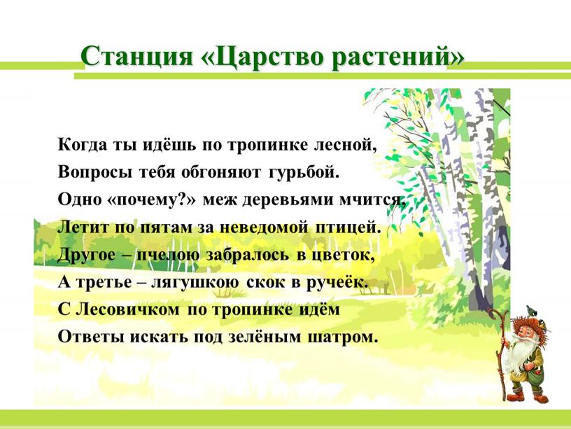 Станция «Царство растений» Когда ты идёшь по тропинке лесной,