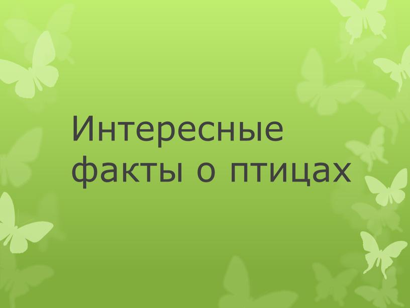 Интересные факты о птицах