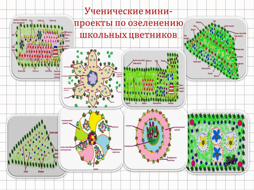 Ученические мини-проекты по озеленению школьных цветников