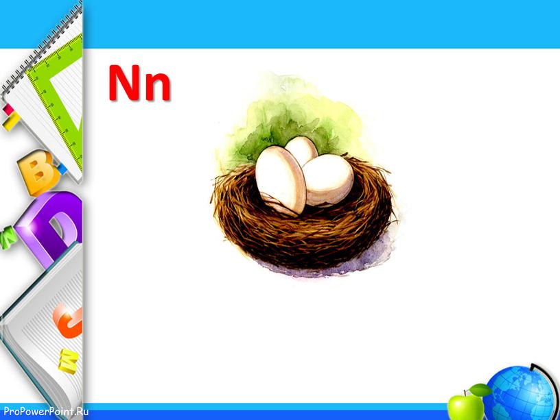 Nn nest