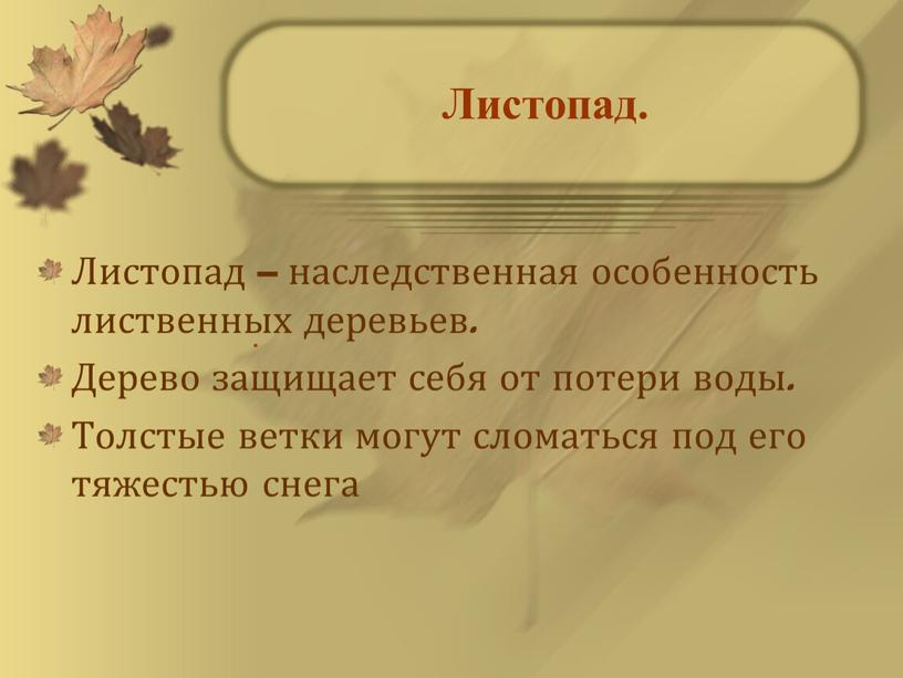 Листопад. Листопад – наследственная особенность лиственных деревьев