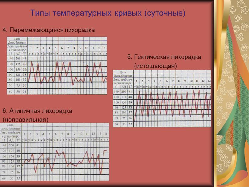 Типы температурных кривых (суточные) 4