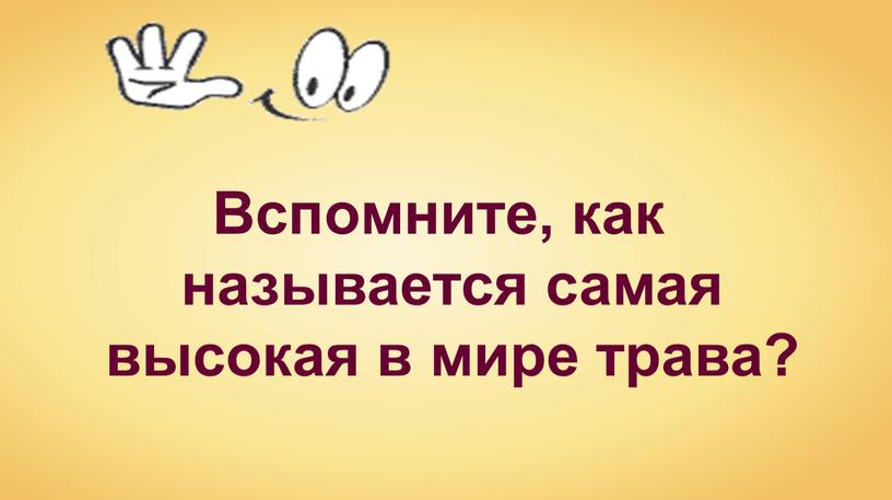 Вспомните, как называется самая высокая в мире трава?