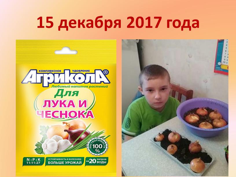 15 декабря 2017 года