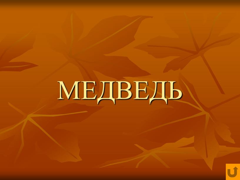 МЕДВЕДЬ