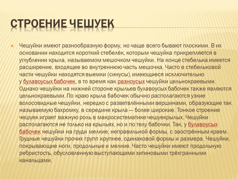 Строение чешуек Чешуйки имеют разнообразную форму, но чаще всего бывают плоскими