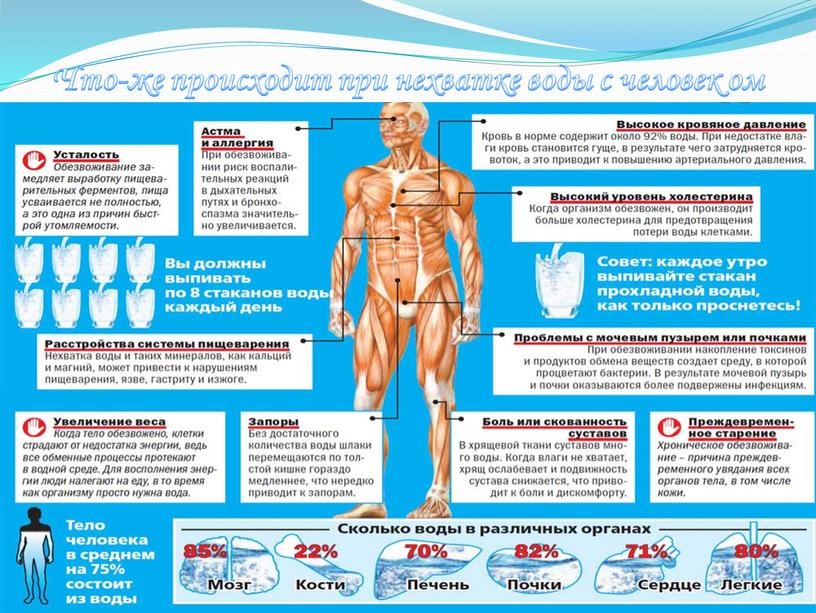 Что-же происходит при нехватке воды с человек ом