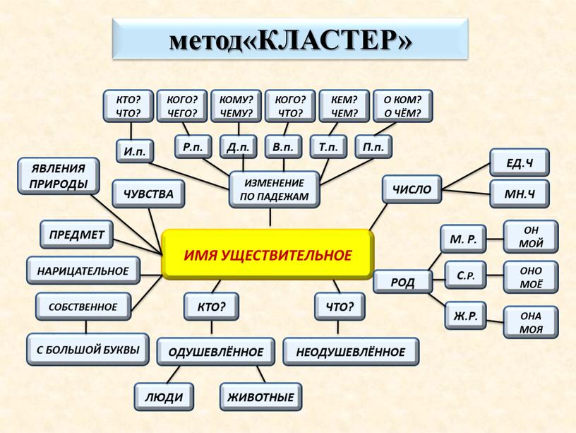 КЛАСТЕР» ЧТО? ПРЕДМЕТ ЛЮДИ ОДУШЕВЛЁННОЕ