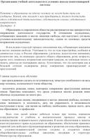 Статья " Организация учебной деятельности в условиях школы пенитенциарной системы"