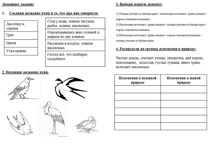 Домашнее задание : Соедини название птиц и то, что про них говорится: 2