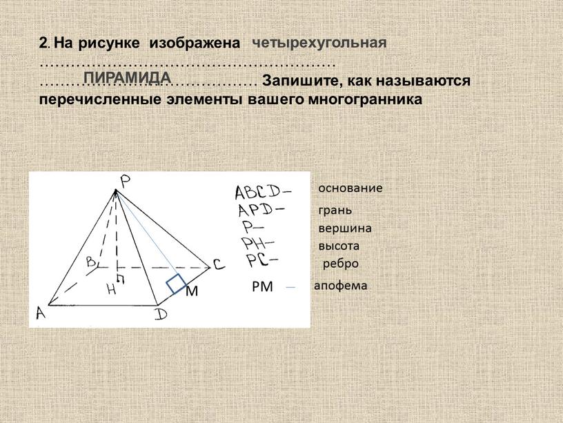 На рисунке изображена ………………………………………………… ……………………………………