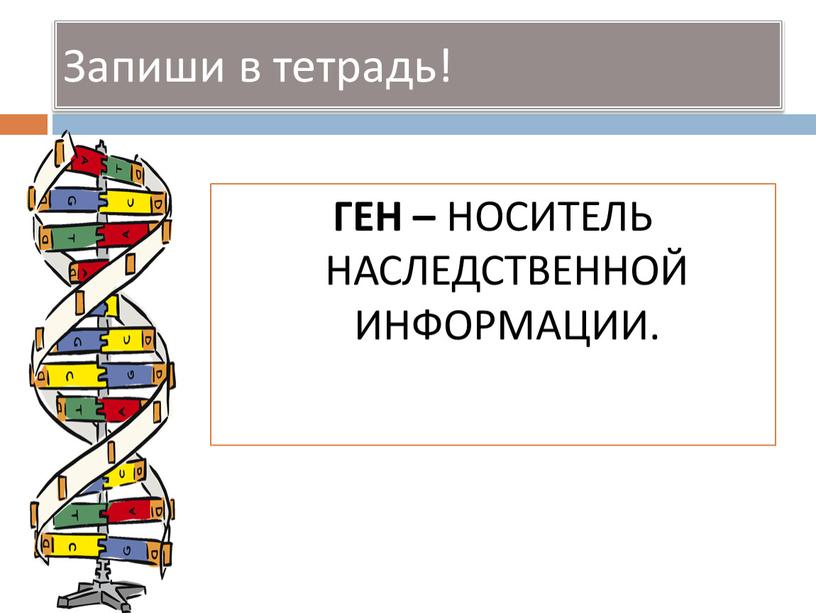 Запиши в тетрадь! ГЕН – НОСИТЕЛЬ