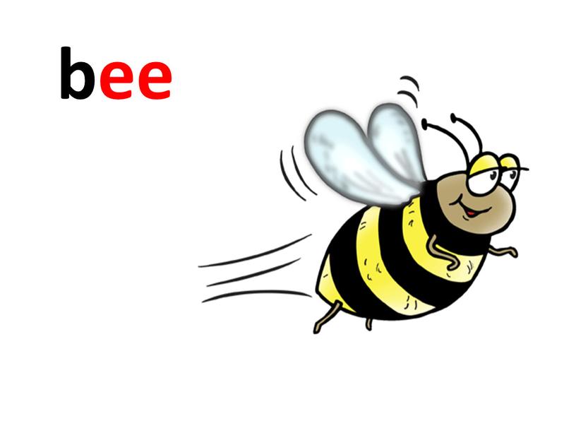 bee